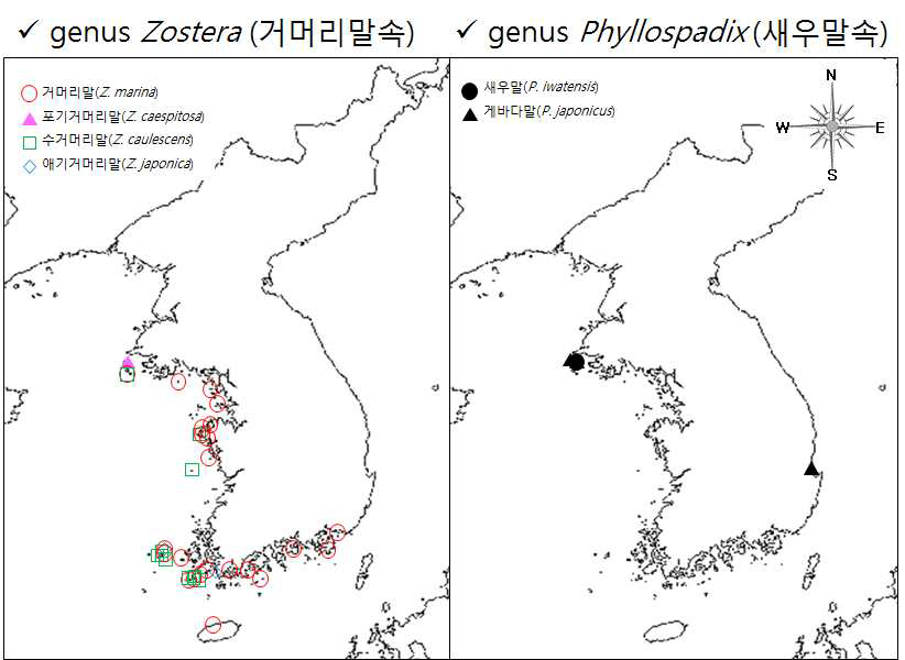 (주)마린에코텍 잘피 종별 군락지 조사