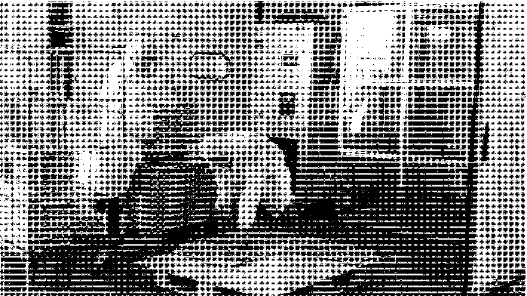 제작된 시제품을 이용한 계란 훈증 실험 사진
