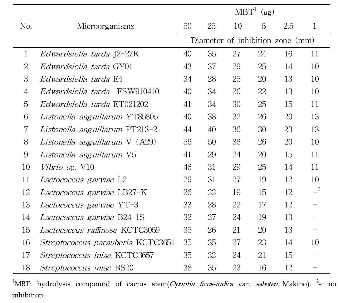 손바닥선인장 줄기 분획물(MBT) 약제 디스크의 어병세균에 대한 항균활성