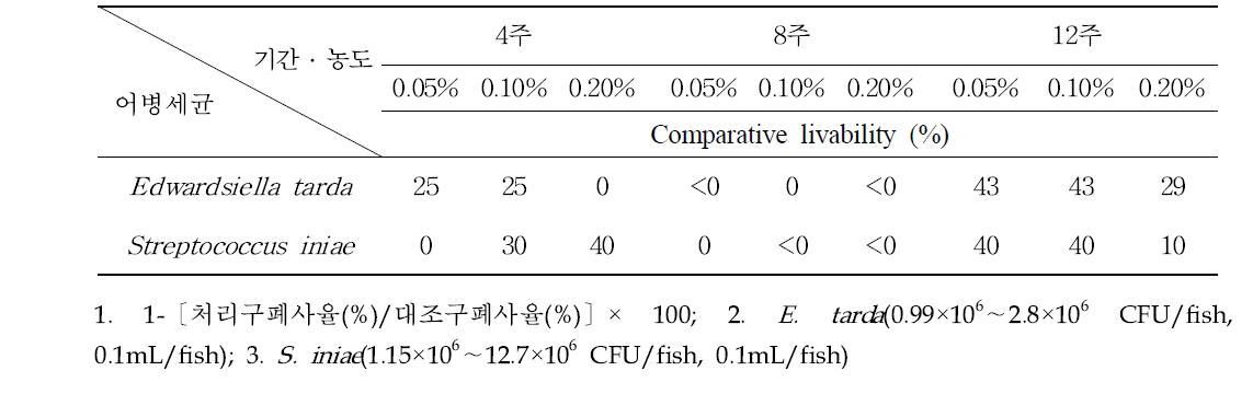 황금 농도별, 투여기간별 넙치의 어병세균 인위 공격감염 후 상대생존율