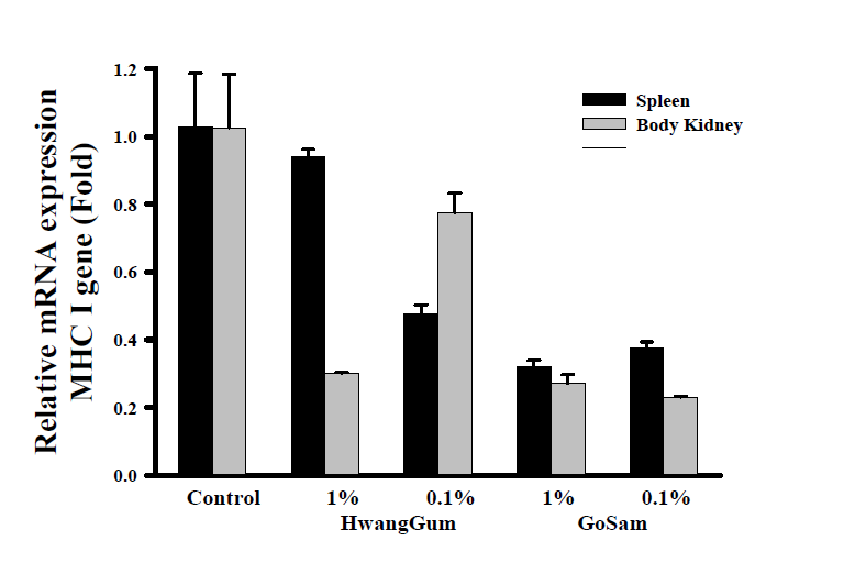 황금 및 고삼 열수추출물을 투여한(0.1%, 1%) 넙치 체 신과 비장의 MHC I 유전자의 발현