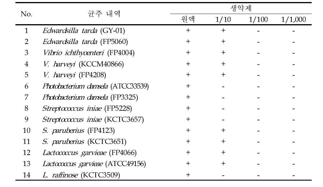 복합 생약제 열수추출물의 어병세균 14종에 대한 항균활성 효과