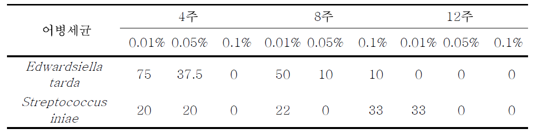 복합 생약제 열수추출물의 농도별, 투여기간별 넙치 어병세균 공격에 따른 상대생존율