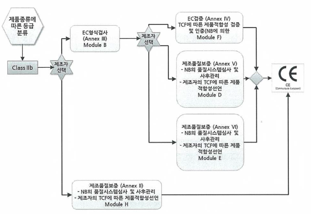 Class II b의 CE 인증절차