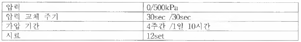 가압시험 상세 내용표