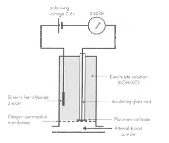 폴라로그래피 방식 용존산소 센서 측정 원리.