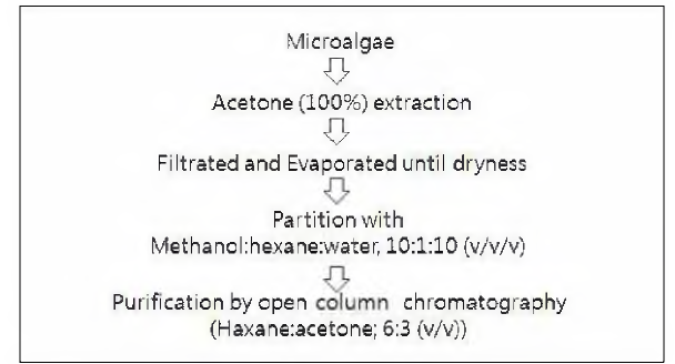 Acetone에 의한 추출과 hexane에 의한 분획 과정