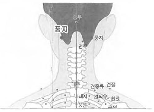 경추 통증 혈자리