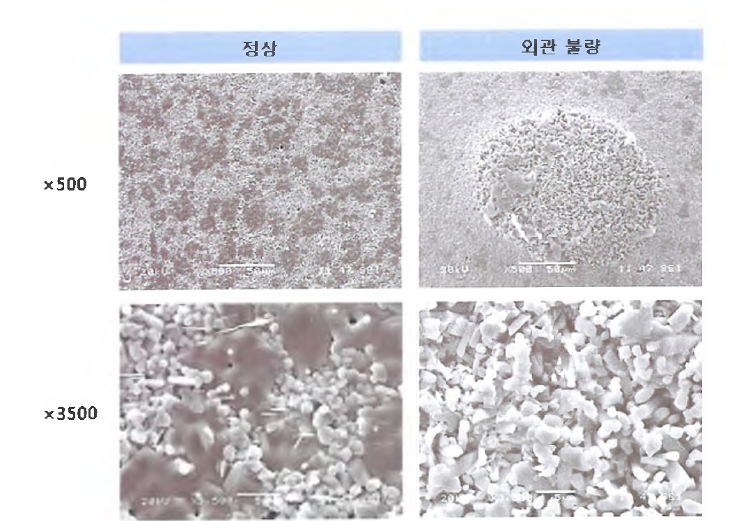 표면 분화구 불량 SEM