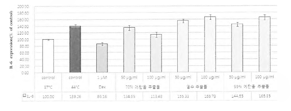 IL-6 발현 평가