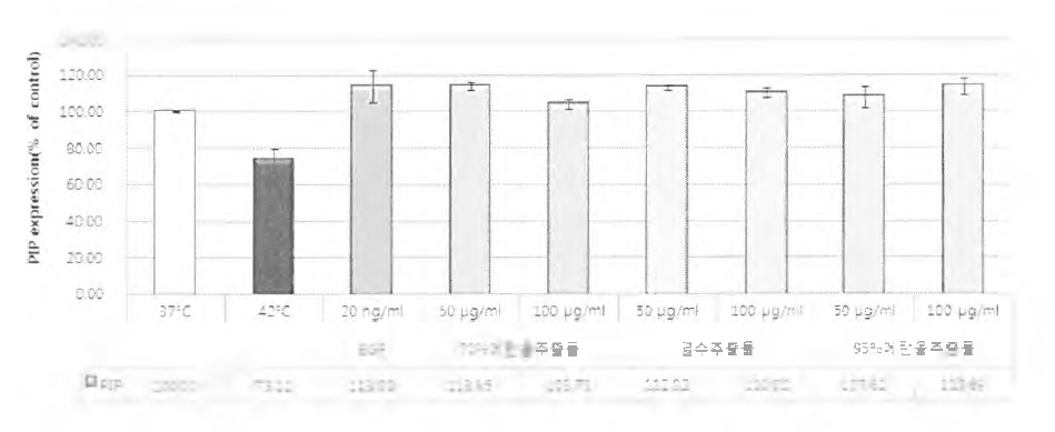 콜라겐 발현 평가