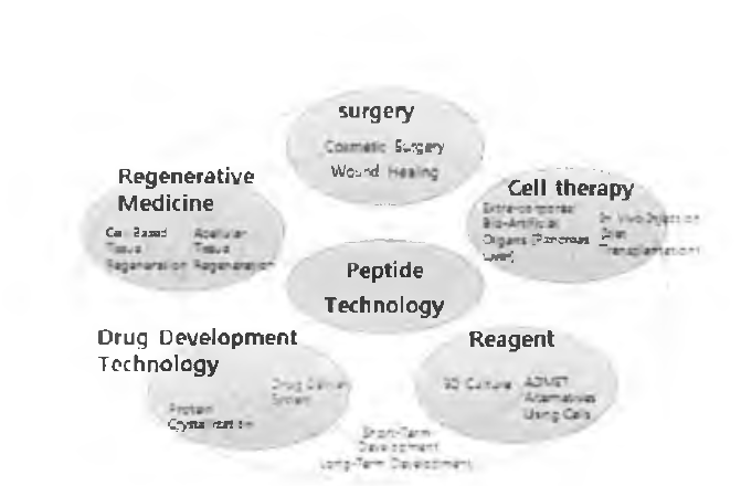 펩타이드 소재의 응용 분야의 확장성