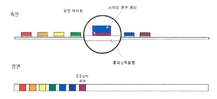 시험지 진단법의 기본 구조