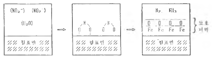 아질산염계 부식방지제의 부식방지 모식도