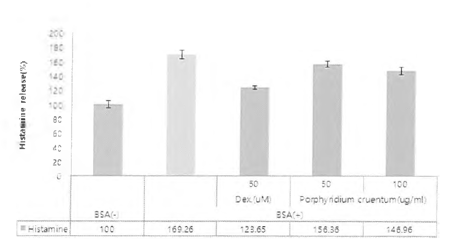호염구세포주에서의 히스타민 방출 억제 확인