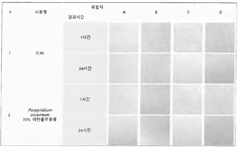 피부 안전성 평가