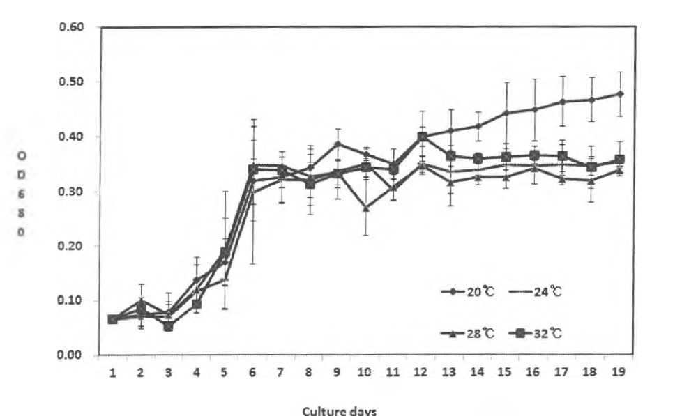 수온에 따른 Porphyridium crwenfwm의 세포 성장 변화