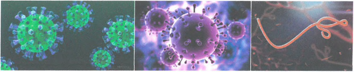 세계적 전염병을 일으켰던 바이러스들