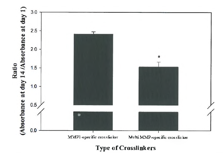 MMP1 에 의해 특이적으로 절단되는 peptide sequence를 가지고 있는 crosslinker(MMP1 - specific crosslinker) 와 MMP1, MMP2, MMP3, MMP7, MMP8, MMP9 에 의해 절단되는 peptide sequence 를 가지고 있는 crosslinker (multi MMP-specific crosslinker) 를 사용하여 제작된 3차원 polyethylne glycol (PEG) -based hydrogel내에서 인간진피섬유아세포 증식능 비교 분석.