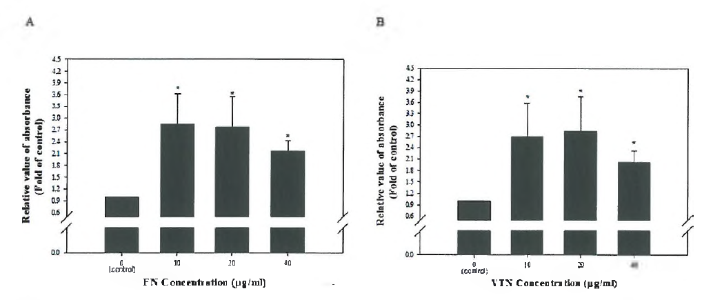 Cell attachment 분석을 통하여 인간진피섬유아세포의 세포막에 세포외기질 단 백질 FN과 VTN과 상호작용할 수 있는 integrin heterodimer 존재 유무 확인.