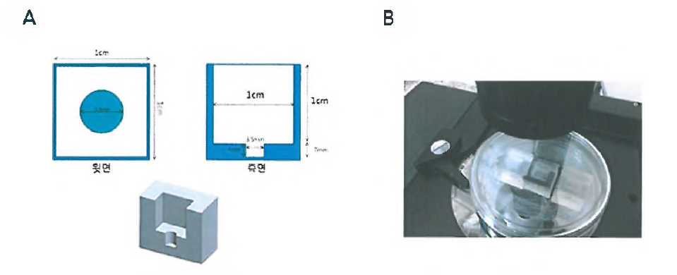 인간진피섬유아세포를 이용하여 체외에서 진피조직을 모방하기 위한 tissue-〇n - a-chip 제작 모식도