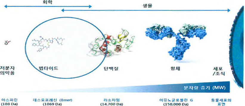 화학적 합성법에 의한 펠타이드 생산 영역의 확장성