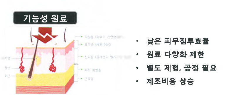 코스메슈티컬 원료의 경피투과 한계