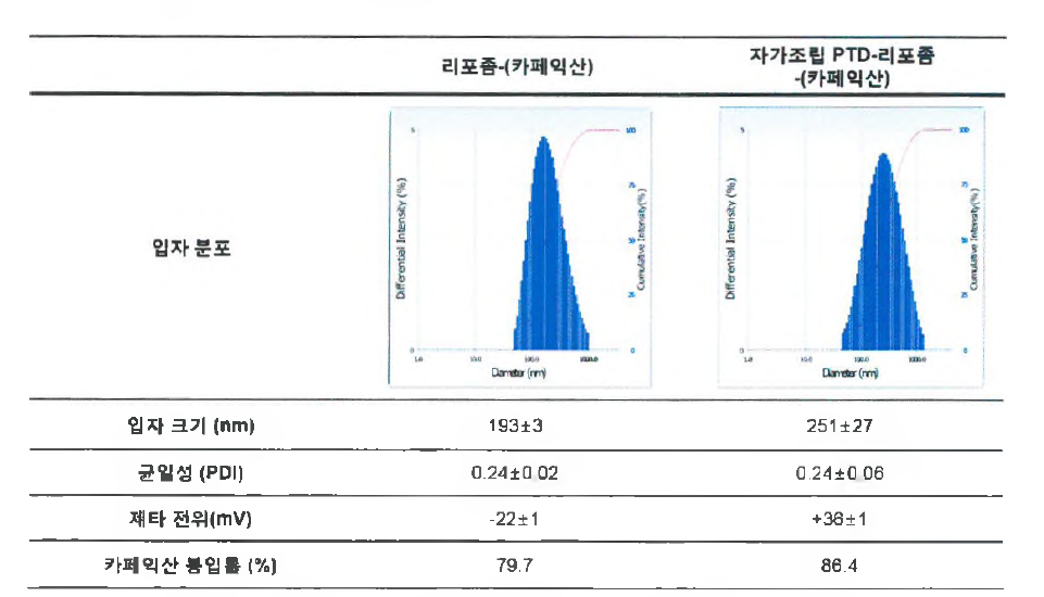 자가조립 PTD - 리포좀 -카페익산의 물리화학적 특성평가