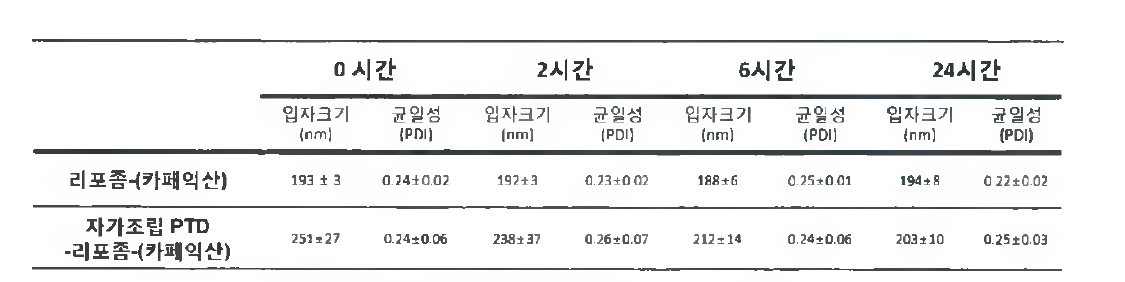 자가조립 PTD- 리포좀의 입자 안정성 평가