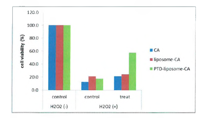 산화스트레스에 의한 세포 손상에서 카페익산의 세포 보호 효능 (자체 평가 결과)
