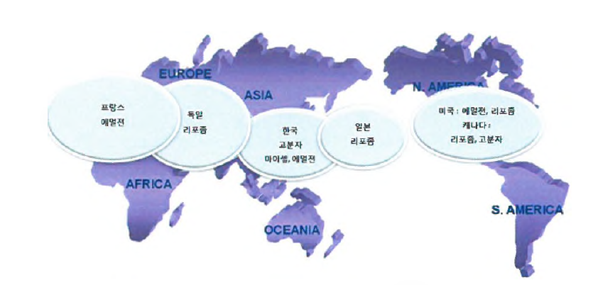 주요국의 세부 기술별 역점 분야