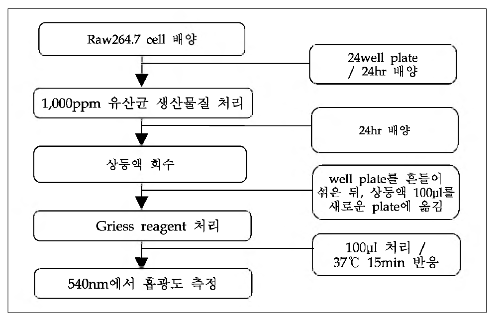 Raw264.7 cell을 이용한 macrophage 활성 증가효과 즉정방법