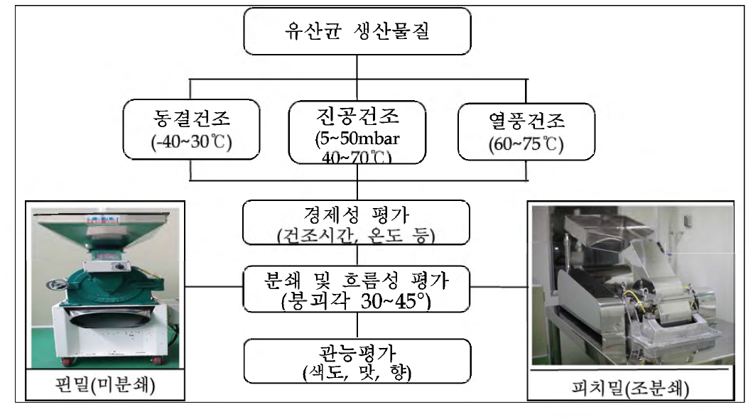 생산물질 분체 생산공정 확립 흐름도