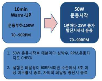 완성된 실험용 프로토콜