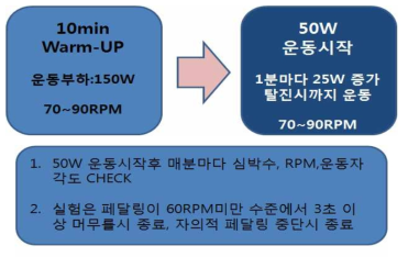 실험 프로토콜