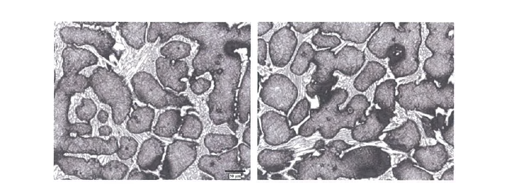 0.5%ZrO2- 22% Cr(교반) 一 normalizing at 1000°C /10hr