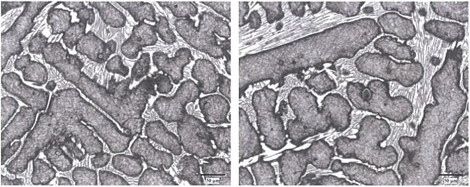 1.0% ZrO2~22% Cr(교반)- normalizing at 1000°C /10hr