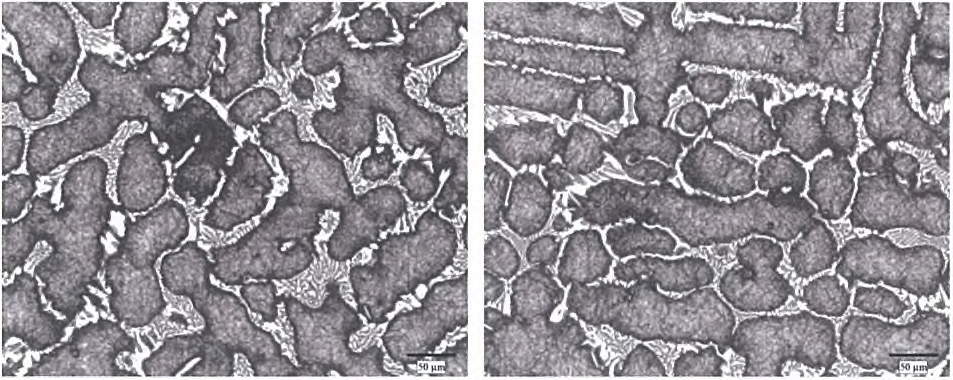 1.5%ZrO2-22%Cr(교반)- normalizing at 1000°C/10hr