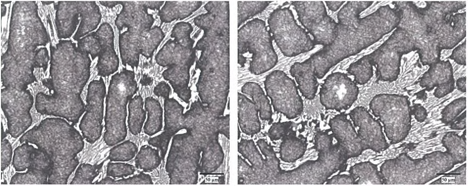 2.0%ZrO2-22%Cr(교반)- normalizing at 1000°C/5hr