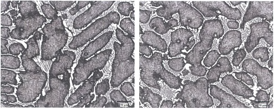 2.0%ZrO2-22%Cr(교반)- normalizing at 1000°C /10hr