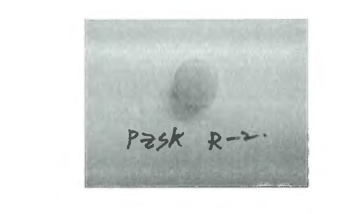 PZSK R-2에 대해 전해질 test