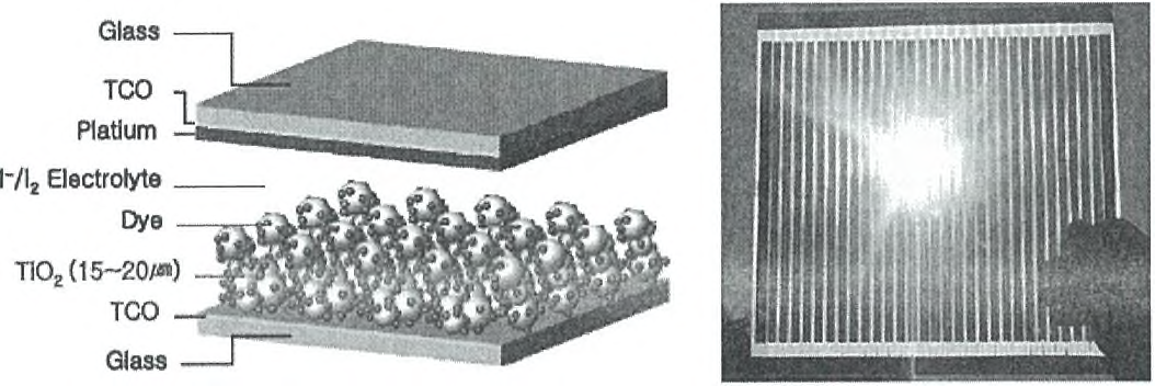 염료감응형태양전지 단위셀 구조 및 대면적(3〇Ox3〇Omm2) 모듈