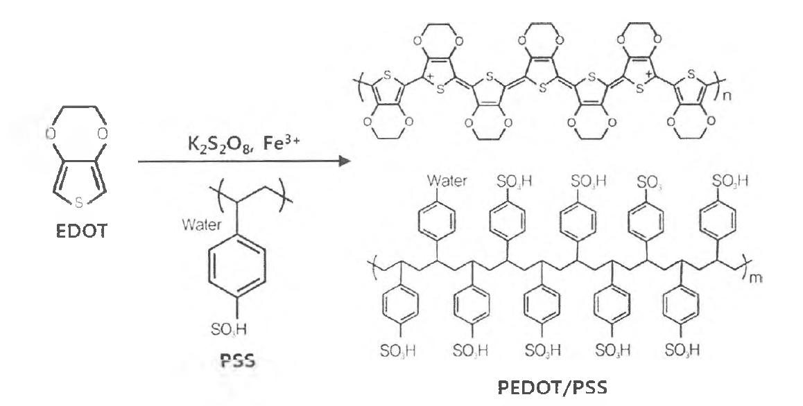 PEDOT:PSS의 산화중합 방법