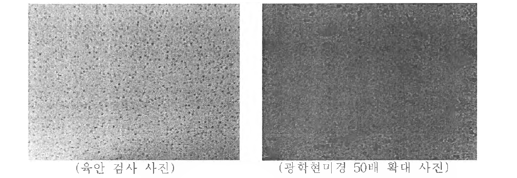 전도성 고분자 코팅 막 표면 탄화 형상