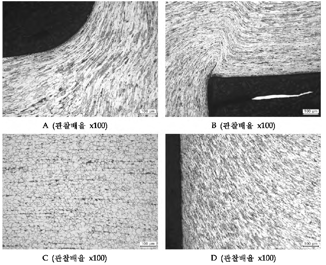 5공정의 미세조직 관찰
