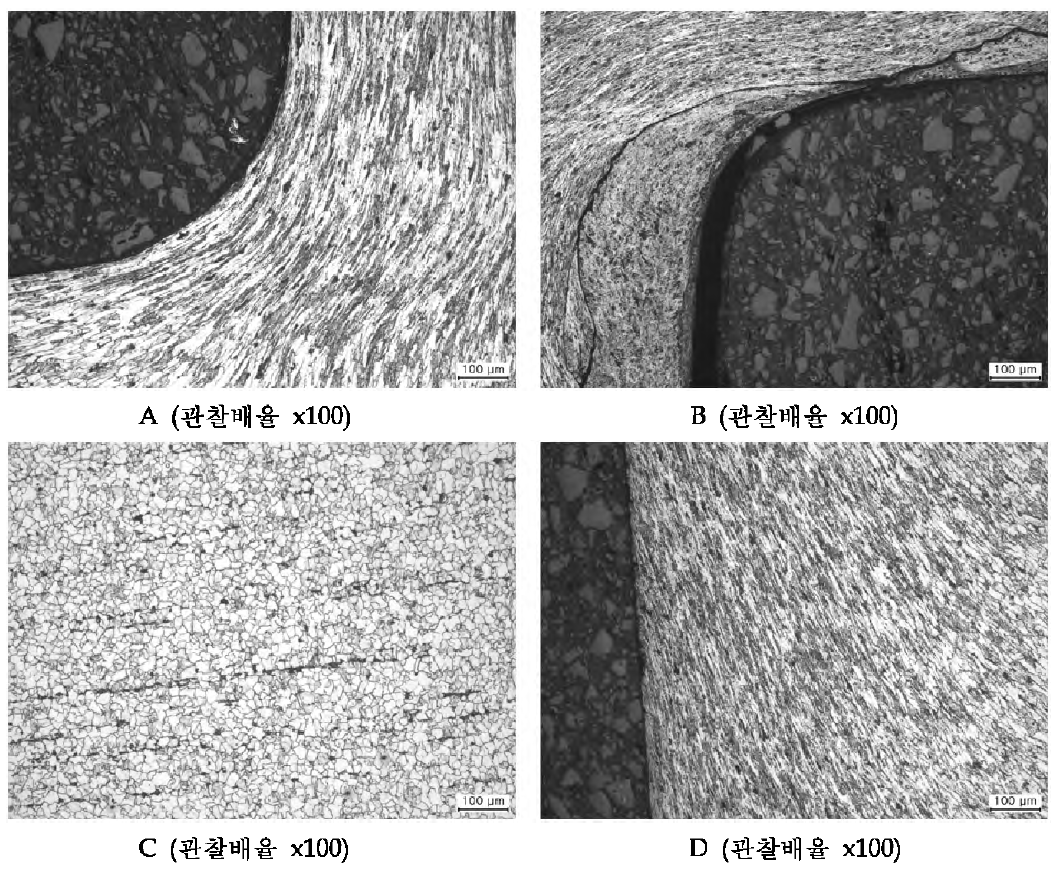 6공정의 미세조직 관찰