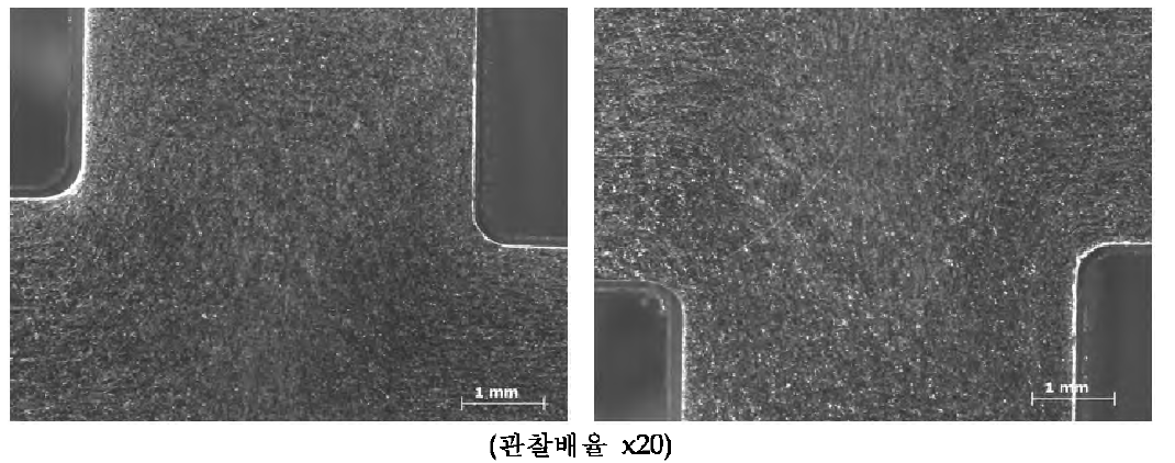 3공정의 미세조직 관찰