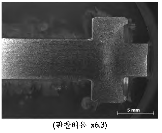 4공정의 매크로 조직관찰