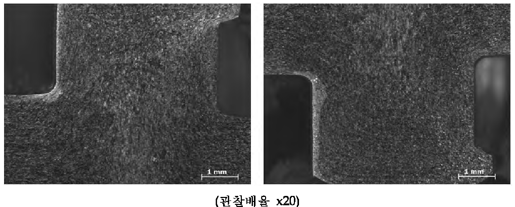 4공정의 미세조직 관찰