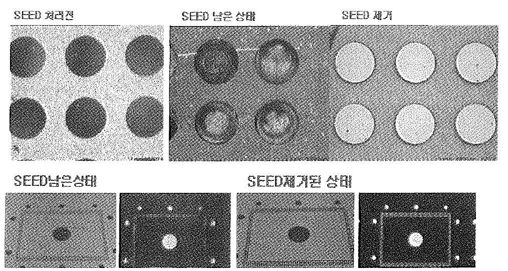 SEED ETHCING 양품/불량 시료